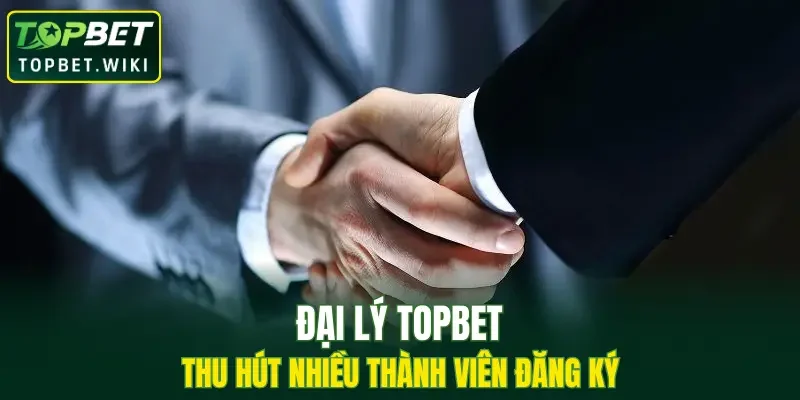 Đại lý TOPBET thu hút nhiều thành viên đăng ký 